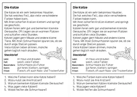 Vorschau - Arbeitsblätter - Die Katze - Sachtexte | Haustiere - für Hefteinträge - Leseverständnis Klasse 1 & 2 - Seite 2