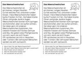 Vorschau - Arbeitsblätter - Das Meerschweinchen - Sachtexte | Haustiere - für Hefteinträge - Leseverständnis Klasse 1 & 2 - Seite 1