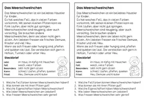 Vorschau - Arbeitsblätter - Das Meerschweinchen - Sachtexte | Haustiere - für Hefteinträge - Leseverständnis Klasse 1 & 2 - Seite 2