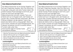 Vorschau - Arbeitsblätter - Das Meerschweinchen - Sachtexte | Haustiere - für Hefteinträge - Leseverständnis Klasse 1 & 2 - Seite 3