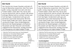 Vorschau - Arbeitsblätter - Der Hund - Sachtexte | Haustiere - für Hefteinträge - Leseverständnis Klasse 1 & 2 - Seite 3