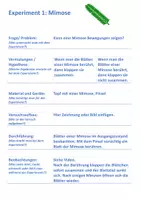 Vorschau - Experimente - Experiment Blattöffnung der Mimose - Deckblatt