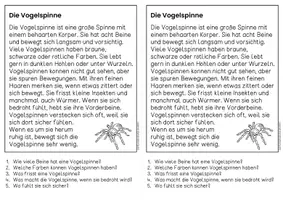Vorschau - Arbeitsblätter - Die Vogelspinne - Sachtexte | Haustiere - für Hefteinträge - Leseverständnis Klasse 1 & 2 - Seite 1