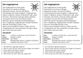 Vorschau - Arbeitsblätter - Die Vogelspinne - Sachtexte | Haustiere - für Hefteinträge - Leseverständnis Klasse 1 & 2 - Seite 2