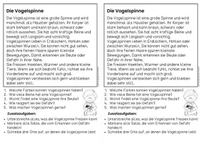 Vorschau - Arbeitsblätter - Die Vogelspinne - Sachtexte | Haustiere - für Hefteinträge - Leseverständnis Klasse 1 & 2 - Seite 3