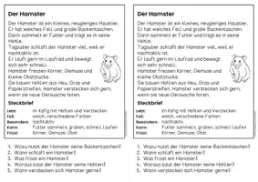 Vorschau - Arbeitsblätter - Der Hamster - Sachtexte | Haustiere - für Hefteinträge - Leseverständnis Klasse 1 & 2 - Seite 2