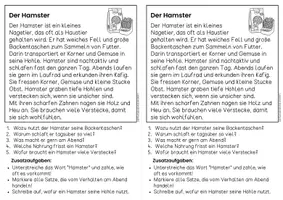 Vorschau - Arbeitsblätter - Der Hamster - Sachtexte | Haustiere - für Hefteinträge - Leseverständnis Klasse 1 & 2 - Seite 3