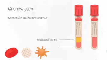Vorschau - Unterrichtsreihen - Genetik: Blutgruppen-System, Rhesus-System | Biologie 12 | 3 fertige Unterrichtsstunden | sofort einsetzbar - Seite 3