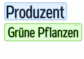 Vorschau - Präsentationen/Tafelbilder - Nahrungsketten & Nahrungsnetze - Tafelmaterial - Seite 2