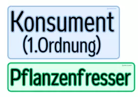 Vorschau - Präsentationen/Tafelbilder - Nahrungsketten & Nahrungsnetze - Tafelmaterial - Seite 3
