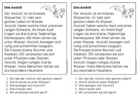 Vorschau - Arbeitsblätter - Tiere weltweit für Hefteinträge, Growing Bundle | Leseverständnis Klasse 1 + 2 - Seite 2