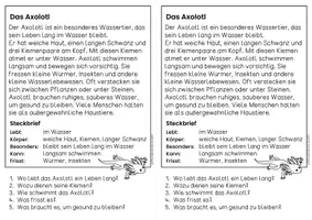 Vorschau - Arbeitsblätter - Tiere weltweit für Hefteinträge, Growing Bundle | Leseverständnis Klasse 1 + 2 - Seite 3
