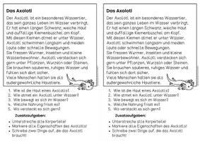 Vorschau - Arbeitsblätter - Das Axolotl für Hefteinträge - 3x differenziert | Leseverständnis Klasse 1 + 2 - Seite 3