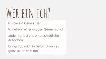 Vorschau - Arbeitsblätter - Der Bienenstaat - Unterrichtsmaterialien - Seite 2