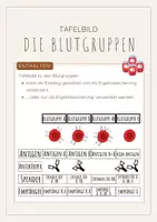 Vorschau - Präsentationen/Tafelbilder - Die Blutgruppen - Tafelbild - Deckblatt