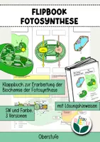 Vorschau - Arbeitsblätter - Flipbook Fotosynthese Biochemie Stoffwechsel Lichtreaktionen - Deckblatt