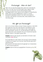 Vorschau - Arbeitsblätter - Dschungel-Dosier - Seite 3