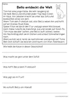 Vorschau - Arbeitsblätter - Haustier Katze - drei Kurzgeschichten | Leseverständnis Klasse1 & 2 - Seite 2