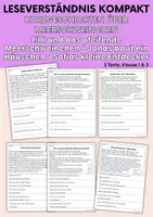 Vorschau - Arbeitsblätter - Haustier Meerschweinchen - drei Kurzgeschichten | Leseverständnis Klasse1 & 2 - Deckblatt