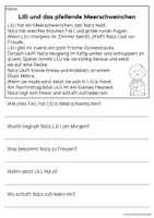 Vorschau - Arbeitsblätter - Haustier Meerschweinchen - drei Kurzgeschichten | Leseverständnis Klasse1 & 2 - Seite 1