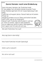 Vorschau - Arbeitsblätter - Haustier Hamster - drei Kurzgeschichten | Leseverständnis Klasse1 & 2 - Seite 3