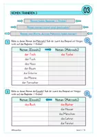 Vorschau - Unterrichtsreihen - NOMEN TRAINIEREN: Differenziertes Lernheft zu Nomen & Namenwörtern - Seite 3