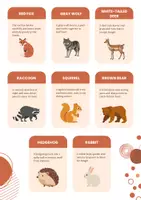 Vorschau - Poster - Waldtiere Knowledge Flashcards: Vögel, Säugetiere, Reptilien - Seite 1