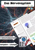 Vorschau - Arbeitsblätter - Nervensystem Materialpaket: Rückenmark, Sinne & Gehirn - Seite 1