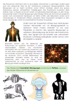 Vorschau - Arbeitsblätter - Das Rückenmark: Aufbau, Funktion & Nervensystem - Seite 2