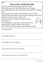 Vorschau - Arbeitsblätter - Haustier Wellensittich - drei Kurzgeschichten | Leseverständnis Klasse1 & 2 - Seite 3