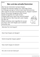 Vorschau - Arbeitsblätter - Haustier Kaninchen - drei Kurzgeschichten | Leseverständnis Klasse1 & 2 - Seite 1