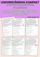 Vorschau - Arbeitsblätter - Haustiere Kurzgeschichten - Growing Bundle | Leseverständnis Klasse 1 + 2 - Seite 1