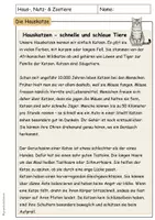 Vorschau - Unterrichtsreihen - Haustiere Nutztiere Zootiere Die Hauskatze Sachunterricht Klasse 3 4 - Seite 3