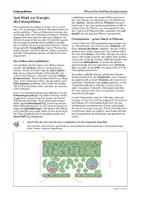 Vorschau - Arbeitsblätter - Fotosynthese - komplettes Arbeitsmaterial zum eigenständigen Erarbeiten - Seite 1