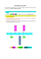 Vorschau - Arbeitsblätter - Dominospiel zur Nomenklatur der Alkane nach IUPAC - Seite 1