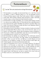 Vorschau - Arbeitsblätter - Kastanienbaum Lesetext mit Fragen + Lösungen Leseverstehen Wortspeicher didaktische Reserve Lesen Leseverständnis - Seite 3