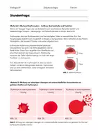 Vorschau - Arbeitsblätter - Osmose: Erythrozyten in unterschiedlich konzentrierten Lösungen - Seite 1