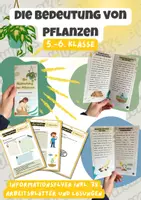 Vorschau - Mal- und Bastelvorlagen - Die Bedeutung der Pflanzen- Informationsflyer | Unterrichtsreihe "Blütenpflanzen", Biologie, 5.-6. Klasse - Deckblatt