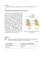 Vorschau - Stundenentwürfe - Revisionsstunde - Funktion der Bandscheiben - Seite 3