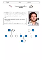 Vorschau - Unterrichtsreihen - Unterrichtsreihe Stammbaumanalyse - mit Leitfaden - Seite 3