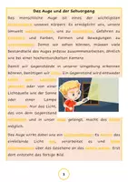 Vorschau - Unterrichtsreihen - Das Auge und der Sehvorgang - Seite 1