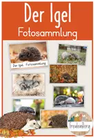 Vorschau - Präsentationen/Tafelbilder - Igel Fotosammlung - Deckblatt