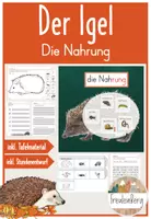 Vorschau - Präsentationen/Tafelbilder - Igel 3. Stunde: Die Nahrung (ABs + Tafelmaterial) - Deckblatt