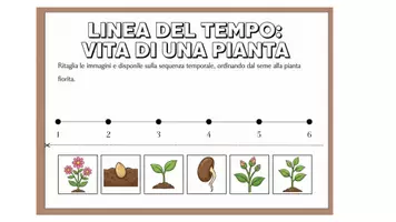 anteprima - Materiale di supporto/inclusione - Raccolta di materiali CLASSE 3 ELEMENTARE - Pagina 3