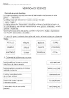 anteprima - Esercizi - Verifica di scienze sulle piante classe terza primaria - Pagina di copertina