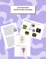 Vorschau - Unterrichtsreihen - Lernwerkstatt -Rund um den Lavendel- - Deckblatt