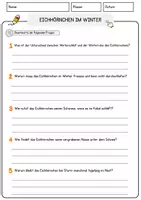 Vorschau - Arbeitsblätter - Eichhörnchen im Winter Arbeitsblätter mit Fragen Lesetraining mit Lösungen Lesetext - Seite 3