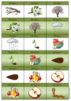 Vorschau - Spiele - Apfel Bildlesespiel -Ich habe-Wer hat?- Klasse 1 - Seite 2