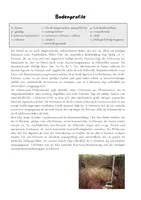 Vorschau - Arbeitsblätter - Großlandschaften und Boden Russlands - Seite 3