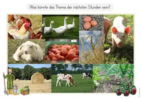Vorschau - Arbeitsblätter - Bauernhof - Vorwissen & Einstieg - Seite 3